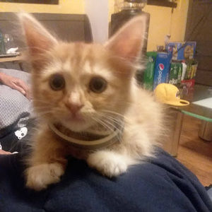 Meet your Posher, Anna martinez